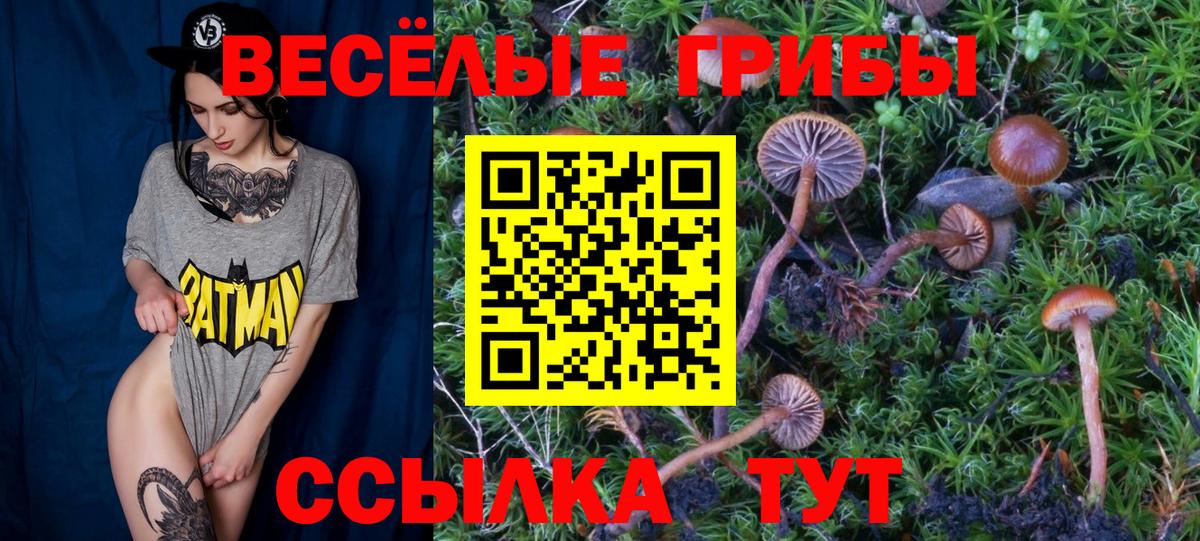 Псилоцибиновые грибы GOLDEN TEACHER  Вход с VPN  Галлюциногенные грибы Magic Shrooms  Валуйки 