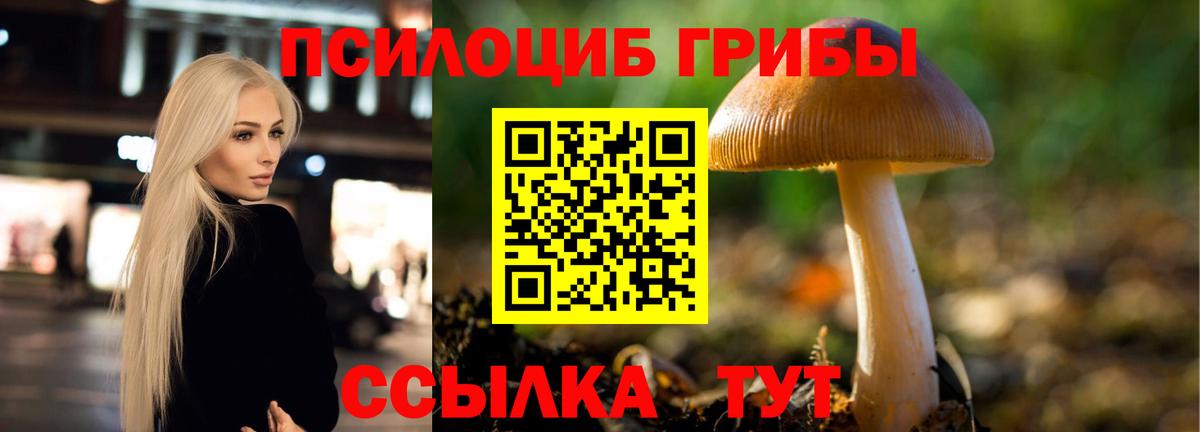 Галлюциногенные грибы GOLDEN TEACHER Валуйки
